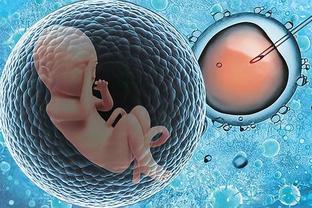 三代试管供卵生男孩试管婴儿中心